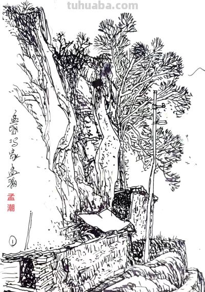 《峰峦叠嶂 壮美华山》（1）——孟潮华山速写作品欣赏 - 图画吧TUHUABA