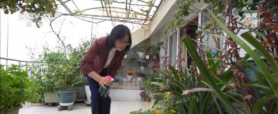 视频丨智能园艺赋能家庭种植 阳台种菜催生现代农业新赛道 - 今日头条 视频丨智能园艺赋能家庭种植 阳台种菜催生现代农业新赛道 - 图画吧TUHUABA