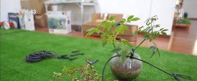 视频丨智能园艺赋能家庭种植 阳台种菜催生现代农业新赛道 - 今日头条 视频丨智能园艺赋能家庭种植 阳台种菜催生现代农业新赛道 - 图画吧TUHUABA