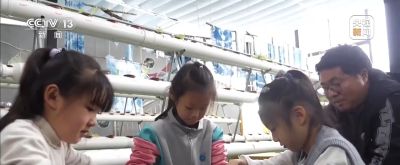 视频丨智能园艺赋能家庭种植 阳台种菜催生现代农业新赛道 - 今日头条 视频丨智能园艺赋能家庭种植 阳台种菜催生现代农业新赛道 - 图画吧TUHUABA