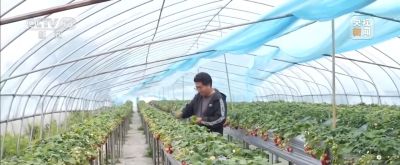 视频丨智能园艺赋能家庭种植 阳台种菜催生现代农业新赛道 - 今日头条 视频丨智能园艺赋能家庭种植 阳台种菜催生现代农业新赛道 - 图画吧TUHUABA
