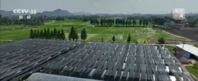 视频丨智能园艺赋能家庭种植 阳台种菜催生现代农业新赛道 - 今日头条 视频丨智能园艺赋能家庭种植 阳台种菜催生现代农业新赛道 - 图画吧TUHUABA