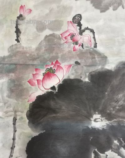 退休了,我想陪友友们一起练习画荷花,你想一起玩不? - 今日头条 退休了,我想陪友友们一起练习画荷花,你想一起玩不? - 图画吧TUHUABA