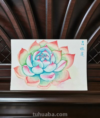 10 水彩暖色吉娃莲（果花甘08） - 图画吧TUHUABA