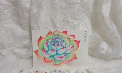 10 水彩暖色吉娃莲（果花甘08） - 图画吧TUHUABA