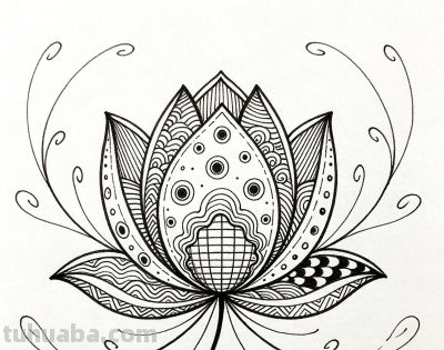 新手也能画！花卉禅绕画教程，彩铅配色治愈又解压 - 今日头条