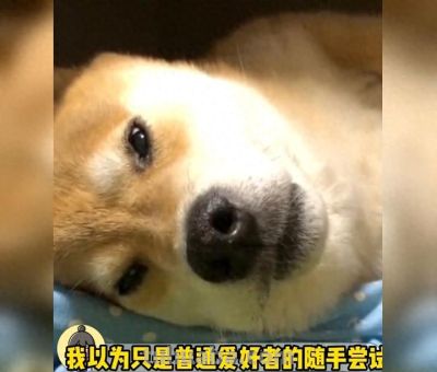 梦幻cosplay派对，一起狂欢吧！🎉✨ - 今日头条