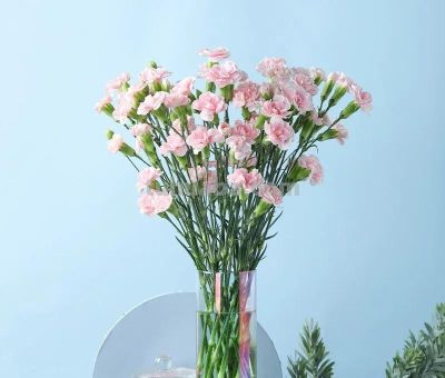 「十二星座×专属花」包含:代表花 + 为什么是它 + 性格特点 + 花语。 - 今日头条 「十二星座×专属花」包含:代表花 + 为什么是它 + 性格特点 + 花语。 - 图画吧TUHUABA