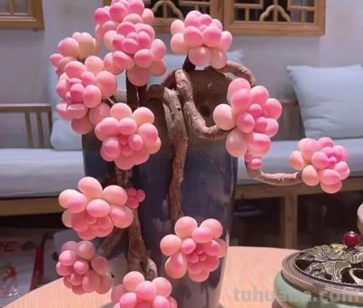 养了3年的多肉后,我后悔了,本以为是“小奶团子”,其实是王者 - 今日头条 养了3年的多肉后,我后悔了,本以为是“小奶团子”,其实是王者 - 图画吧TUHUABA
