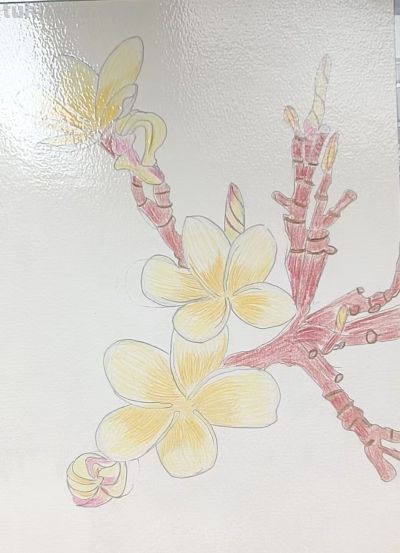 分享一组植物绘画 - 图画吧TUHUABA
