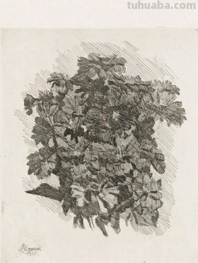 莫兰迪 | 宁静和隐秘（素描作品） - 图画吧TUHUABA