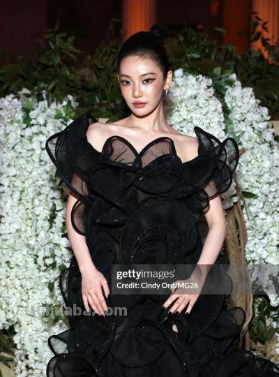 今年Met Gala红毯造型太抓马，大型cosplay现场！ - 图画吧TUHUABA