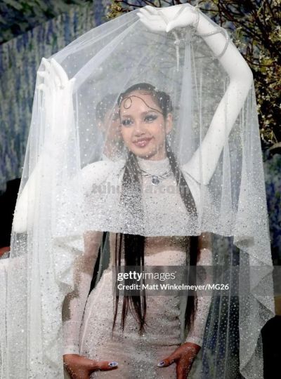 今年Met Gala红毯造型太抓马，大型cosplay现场！ - 图画吧TUHUABA