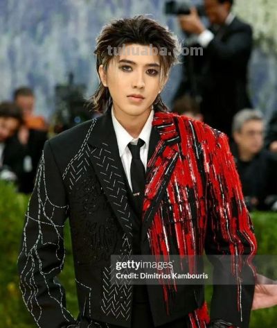 今年Met Gala红毯造型太抓马，大型cosplay现场！ - 图画吧TUHUABA