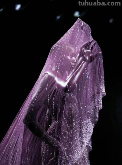今年Met Gala红毯造型太抓马，大型cosplay现场！ - 图画吧TUHUABA