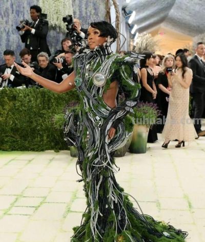今年Met Gala红毯造型太抓马，大型cosplay现场！ - 图画吧TUHUABA