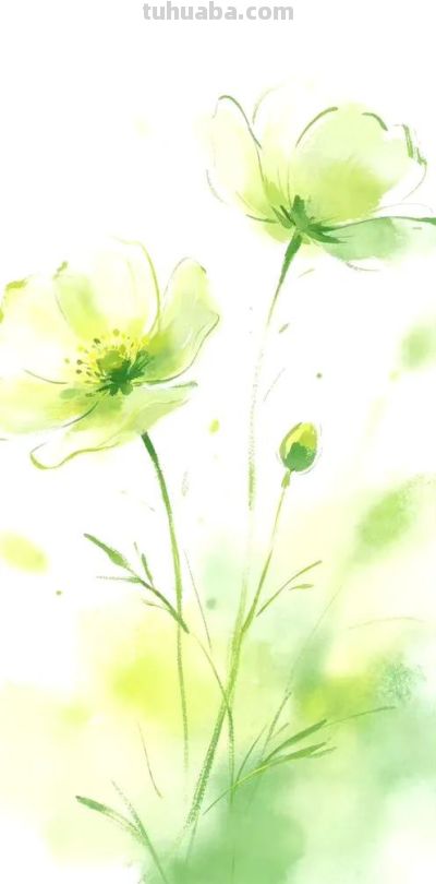 𝙎𝙝𝙖𝙧𝙚「治愈系动漫风景壁纸 ​」 - 图画吧TUHUABA