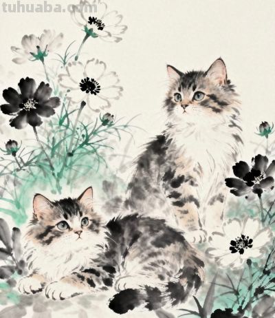 花间闲卧 是猫咪的温柔时光丨成竟绘生活小猫插画分享 - 今日头条