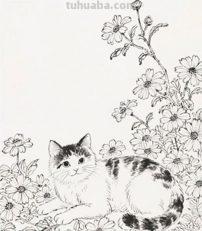 花间闲卧 是猫咪的温柔时光丨成竟绘生活小猫插画分享 - 图画吧TUHUABA