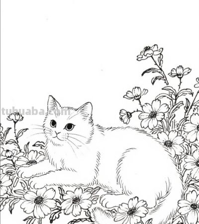 花间闲卧 是猫咪的温柔时光丨成竟绘生活小猫插画分享 - 图画吧TUHUABA