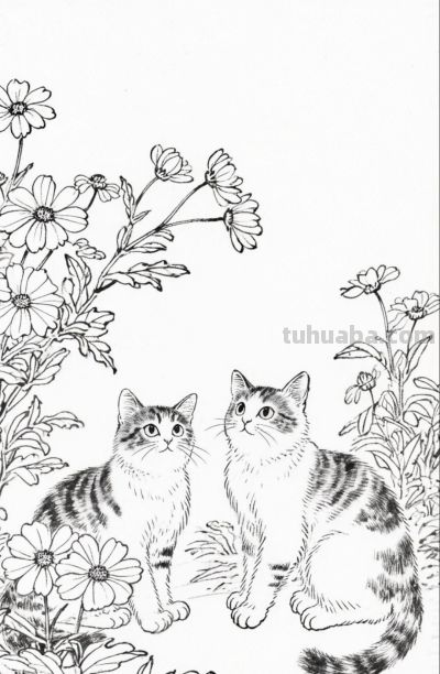花间闲卧 是猫咪的温柔时光丨成竟绘生活小猫插画分享 - 图画吧TUHUABA