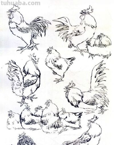 技法 | 举一反三,画鸡就是这么简单! - 今日头条 技法 | 举一反三,画鸡就是这么简单! - 图画吧TUHUABA