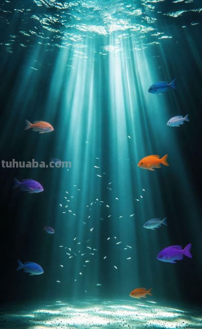 治愈插画//海底 - 图画吧TUHUABA