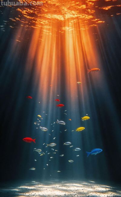 治愈插画//海底 - 图画吧TUHUABA