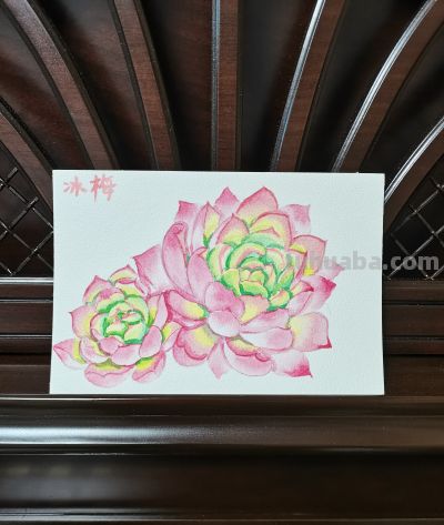16 水彩冰梅（果花甘08） - 图画吧TUHUABA
