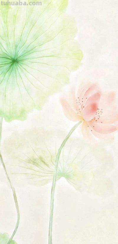心动鲜艳，色彩壁纸 - 图画吧TUHUABA