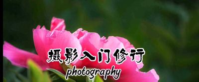 摄影入门修行,掌握技巧,拍出美丽! - 今日头条 摄影入门修行,掌握技巧,拍出美丽! - 图画吧TUHUABA
