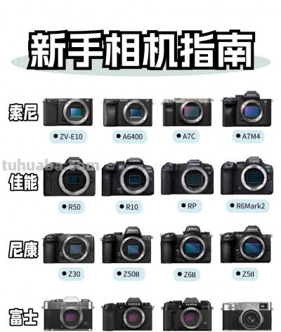 新手想学摄影，相机该怎么选？这里给你讲得明明白白 - 今日头条