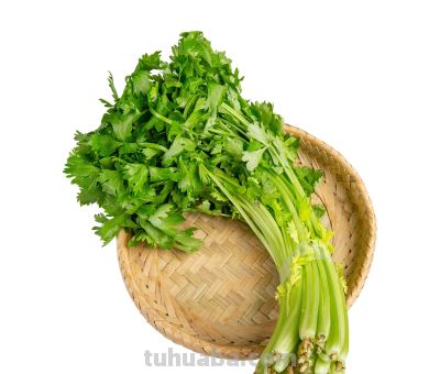 家常蔬菜营养前五名！第一名家家都有，营养堪比补品 - 图画吧TUHUABA