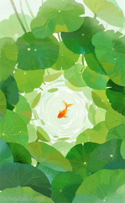 插画／一尾小金鱼的夏天 - 图画吧TUHUABA