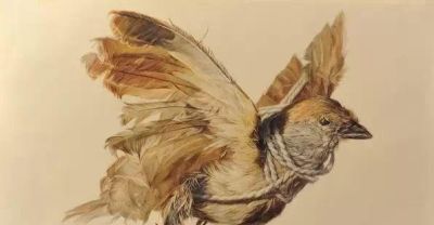 中央美院精微素描盛宴:获奖佳作赏析 - 今日头条 中央美院精微素描盛宴:获奖佳作赏析 - 图画吧TUHUABA