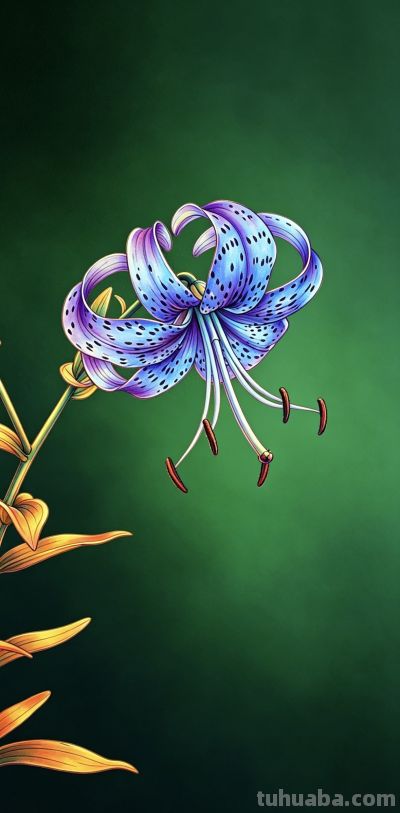 线稿与水彩：我笔下的花，是两种截然不同的温柔 - 今日头条