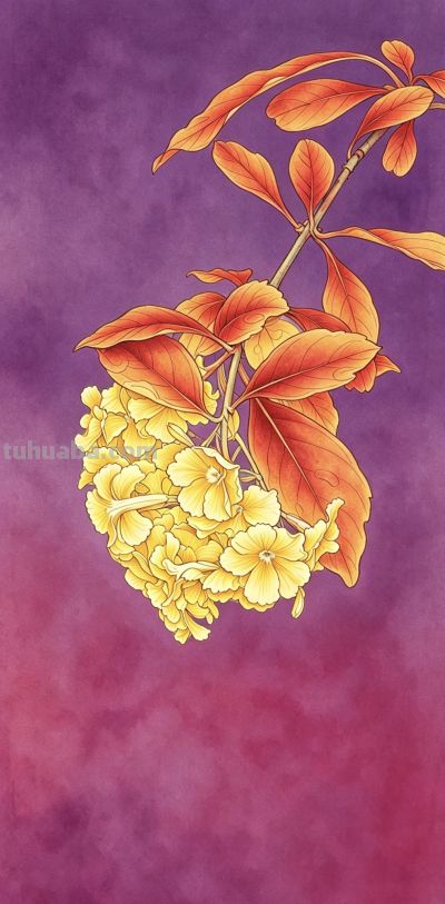 线稿与水彩:我笔下的花,是两种截然不同的温柔 - 今日头条 线稿与水彩:我笔下的花,是两种截然不同的温柔 - 图画吧TUHUABA