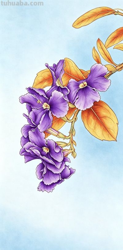 线稿与水彩:我笔下的花,是两种截然不同的温柔 - 今日头条 线稿与水彩:我笔下的花,是两种截然不同的温柔 - 图画吧TUHUABA