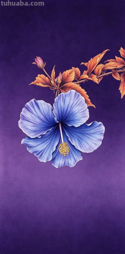 线稿与水彩:我笔下的花,是两种截然不同的温柔 - 今日头条 线稿与水彩:我笔下的花,是两种截然不同的温柔 - 图画吧TUHUABA