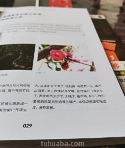 手机摄影进阶指南:2026年最值得掌握的10个核心技巧 - 今日头条 手机摄影进阶指南:2026年最值得掌握的10个核心技巧 - 图画吧TUHUABA