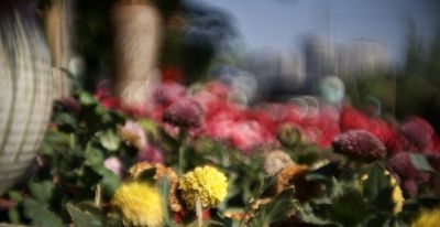 手机摄影进阶指南:2026年最值得掌握的10个核心技巧 - 今日头条 手机摄影进阶指南:2026年最值得掌握的10个核心技巧 - 图画吧TUHUABA