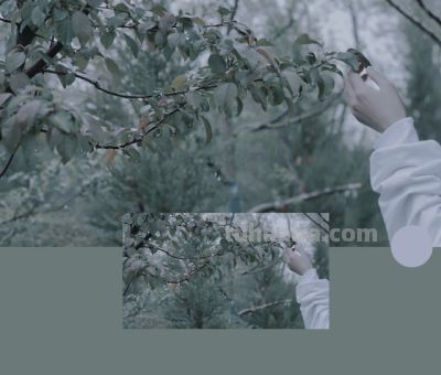 手机摄影进阶指南:2026年最值得掌握的10个核心技巧 - 今日头条 手机摄影进阶指南:2026年最值得掌握的10个核心技巧 - 图画吧TUHUABA