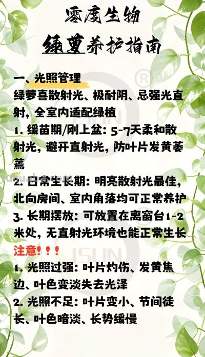 零度生物绿萝养护指南 - 今日头条