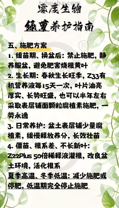 零度生物绿萝养护指南 - 图画吧TUHUABA