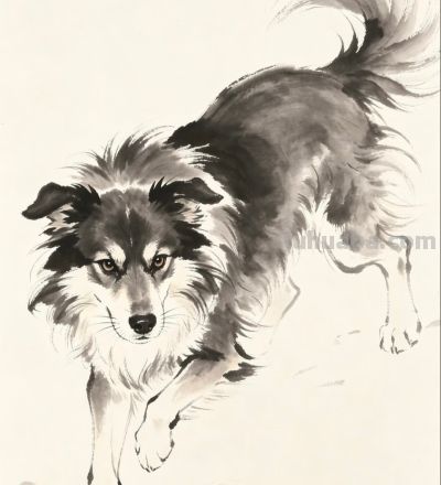 一笔一墨 勾勒狗狗百态温情瞬间丨小画拾光分享 - 图画吧TUHUABA