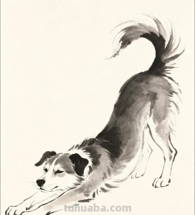 一笔一墨 勾勒狗狗百态温情瞬间丨小画拾光分享 - 图画吧TUHUABA