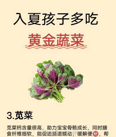 入夏后孩子多吃，这10种金牌蔬菜 - 图画吧TUHUABA