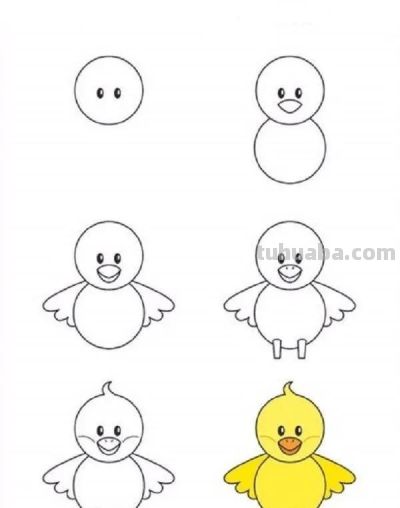 20种超可爱小动物简笔画教程，老师家长收藏！一步一步教会你~ - 图画吧TUHUABA