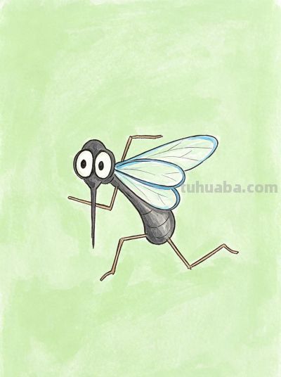 简笔画每日更新之可爱蚊子 - 今日头条