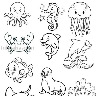 119个海洋动物简笔画线稿图，你捡到宝贝了 - 图画吧TUHUABA